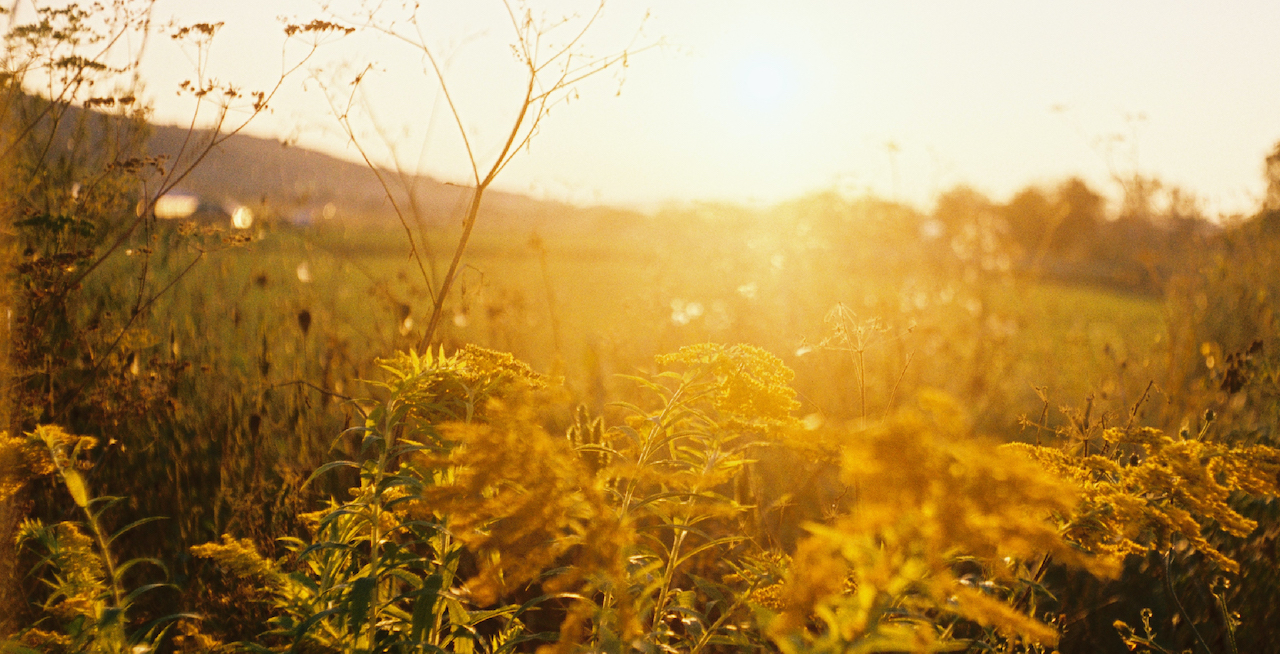 Sunrise in the countryside